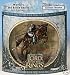 Lord of the Rings - LOTR - Battle Scale Figures - Armies of Middle-Earth - Gondorian Horseman  - 3" / 7cm_s-1