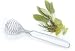 Stainless Steel Whisk