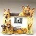 German Shepherd Picture Frame