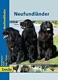 PraxisRatgeber Neufundländer
