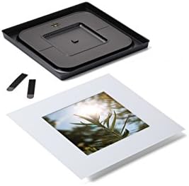 Command Decor Damage-Free Wall Tile Kit, 8 x 8-Inch, White Frame
