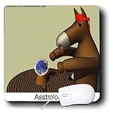 Londons Times Funny Animals Cartoons - Asstrologer The Future Of Donkeys - Mouse Pads