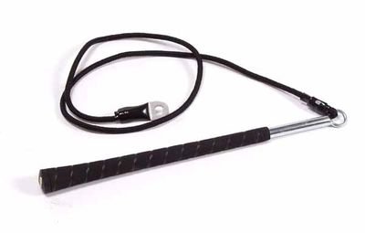 Stamina Gyrotonic Golf Club Accessory with Video