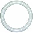 Lights of America 2630B Replacement Bulb For Circleline Adapter