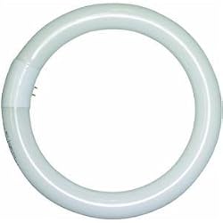 Lights of America 2630B Replacement Bulb For Circleline Adapter