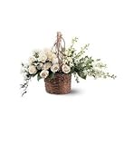 Basket of Light