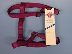 Hamilton 1" Nylon Adjustable Comfort Dog Harness, Wine, Large (30"-40" chest)