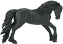 Friesian Stallion