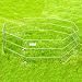 Precision Pet 1210-SXP18-B 18 Inch High Silver Exercise Pen Top With Snaps
