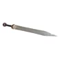 Whetstone Cutlery Authentic Hand Forged Roman Sword