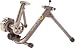 CycleOps Fluid 2 Indoor Bicycle Trainer