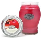 Salt City Apple Cinnamon 26oz Jar Candle