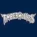 Twolves Revers NBA Replica Jersey-Youth (EA)