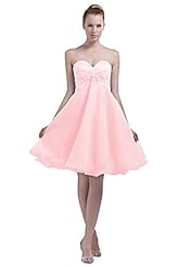 A-line Organza/Satin Applique Lace Cocktail Short Evening Dress/Homecoming Dress/Pageant Dress/Prom Dress/Quinceanera Dress/Party Dress/Wedding Dress 