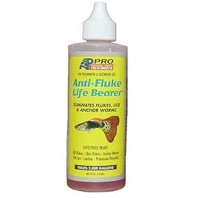 Life-Bearer 4oz (12pc)