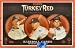 2007 Topps Turkey Red Baseball Card Unopened Hobby Box