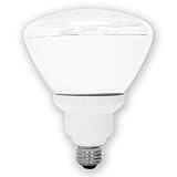 GE 26 Watt (100 Watt equivalent) Energy Smart Outdoor Floodlight PAR38 Light Bulb 3 Count #21739