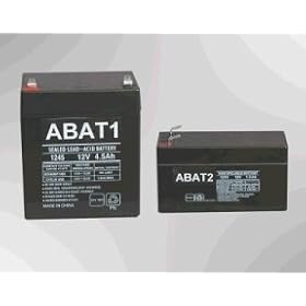 PACH ABAT1 Backup Battery by Aegis