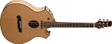 Parker Event Series P8EN Electric Acoustic Guitar (Natural)