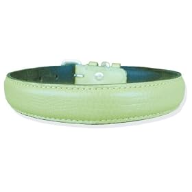 14 Lime Green padded snake print leather dog collar by Pet Jewelry