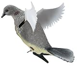 Expedite Intnl. Dove-N-Air