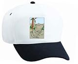 White Cap with mountains, trees, United States , valley, Northwest, landscape, gulch