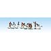 Search : HO Youth Football Players
