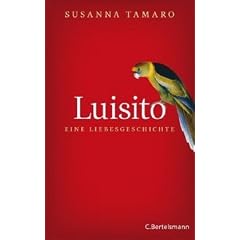 Luisito - eine Liebesgeschichte: Roman
