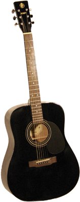S101 Acoustic Dreadnought D41420