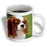 Dogs Cavalier King Charles Spaniel - Cavalier King Charles Spaniels - Mugs