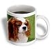 Dogs Cavalier King Charles Spaniel - Cavalier King Charles Spaniels - Mugs
