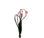 GKI Bethlehem Lighting LED Ultra Thin Wire Battery Operated Red 18-Christmas Light Set