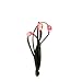 GKI Bethlehem Lighting LED Ultra Thin Wire Battery Operated Red 18-Christmas Light Set