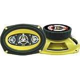 PYLE PLG69.8 6-Inch x 9-Inch 500 Watt Eight-Way Speakers
