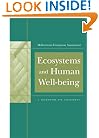 Ecosystems and Human Well-Being: A Framework For Assessment (Millennium Ecosystem Assessment Series)