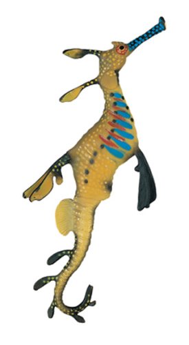 Childrens Toyshop  Toys : Weedy Seadragon, Wild Safari