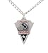 Atlanta Falcons Chain Necklace & Pewter Pendant - NFL Football Fan Shop Sports Team Merchandise