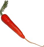 Carrot 14 Fake Food