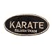 Karate Silver Team Patch