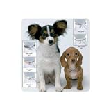 Doggles - Accessories