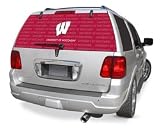 Wisconsin Badgers Rearz (24x 66) Glass Window Tattoo - NCAA College Athletics