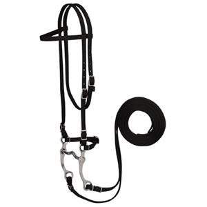 Weaver Nylon Browband Bridle