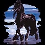 Beachcomber Horse Adult T-Shirt
