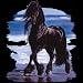 Beachcomber Horse Adult T-Shirt