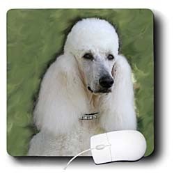 image link -  - B000H6ME2E