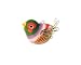 Singing Bird Magnet