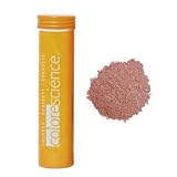 Colorescience Bronzer Brush SPF 20 Refill: One For All