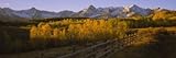 Trees in a Field Near a Wooden Fence, Dallas Divide, San Juan Mountains, Colorado, USA Photographic Poster Print by Panoramic Images, 20x60