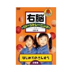 右脳イメージトレーニング はじめてのさんすう 2巻組 [DVD]