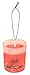 Glade Paper Candle Hanging Car and Home Air Freshener, Apple Cinnamon Scent (Single-Pack)